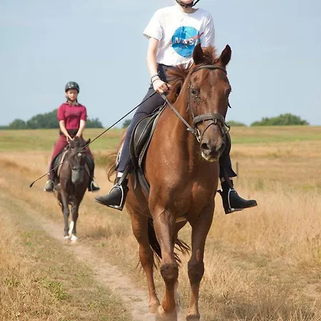 Ferien am Schloss - Wohnung 6 - der Pferdestall *