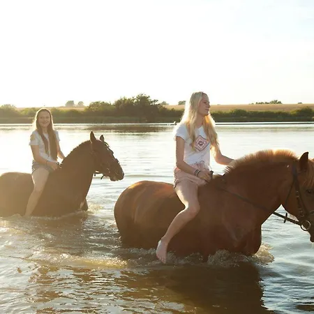 Apartment Ferien am Schloss - Wohnung 6 - der Pferdestall
