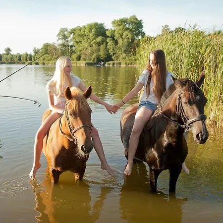 Ferien am Schloss - Wohnung 6 - der Pferdestall