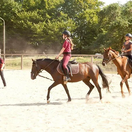 Apartment Ferien am Schloss - Wohnung 6 - der Pferdestall
